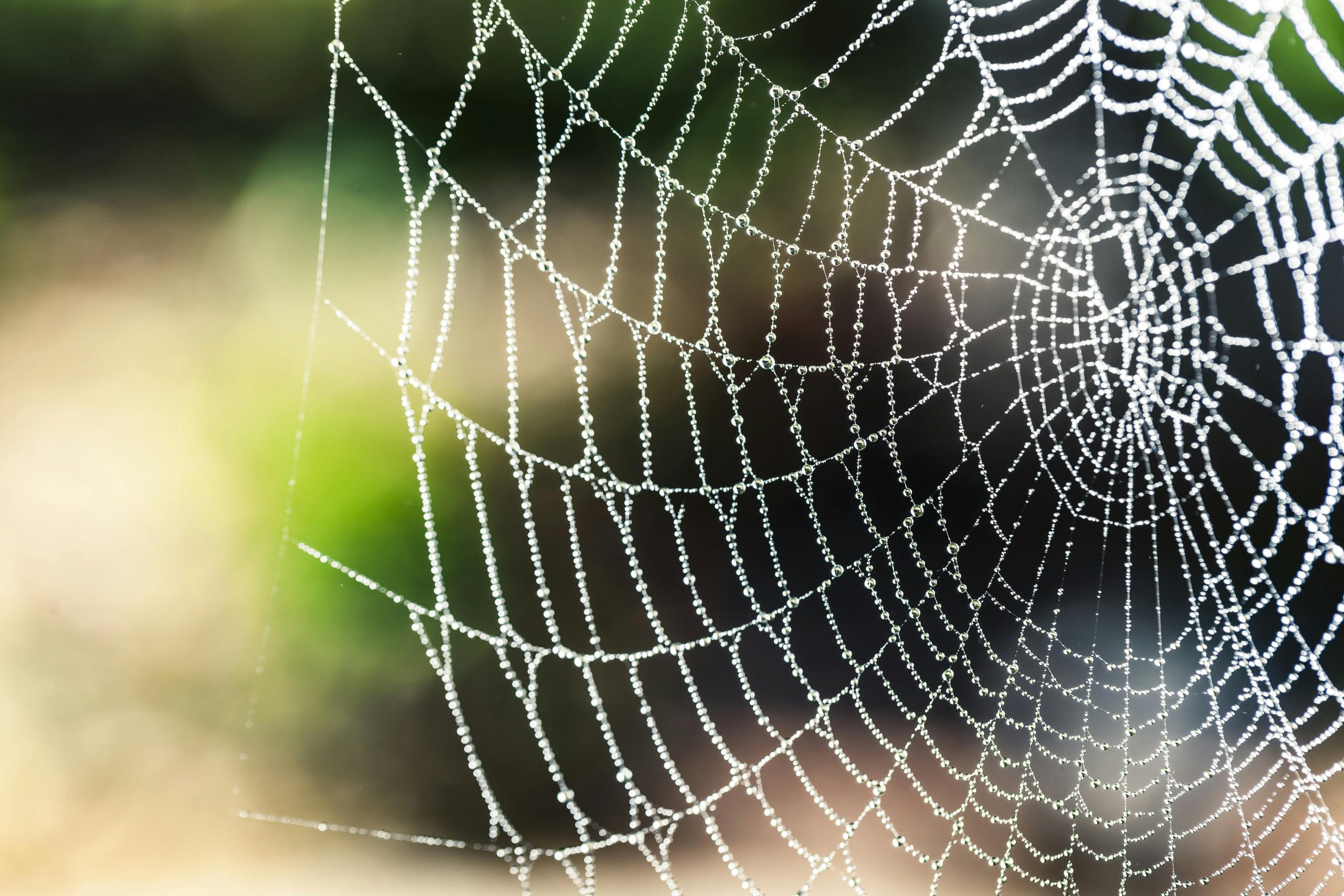 The Minimum Payment Trap